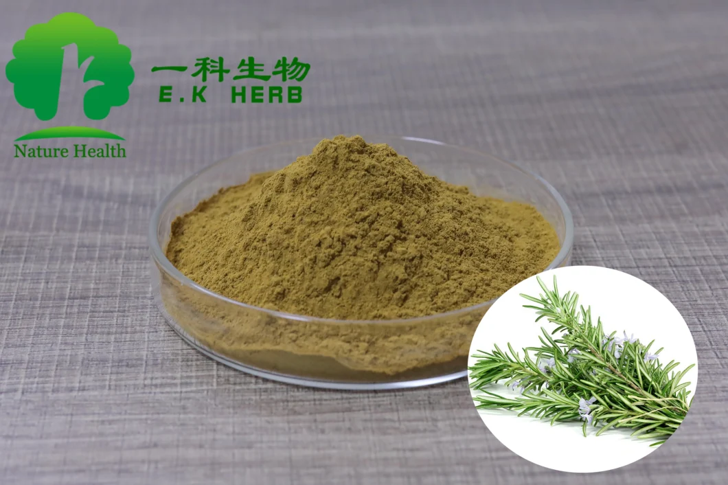 E. K Herb Feed Grade for Animals Rosemary Extract Botanical Antioxidant Carnosic Acid/Rosmarinic Acid/Ursolic Acid Rosemary Extract