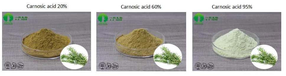 E. K Herb Feed Grade for Animals Rosemary Extract Botanical Antioxidant Carnosic Acid/Rosmarinic Acid/Ursolic Acid Rosemary Extract
