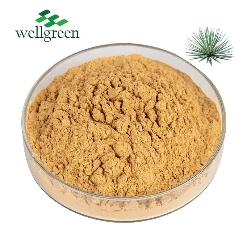 Improved Digestion Immunity 30%-60% Yucca Extract Herbal Extracts for Animal Feed