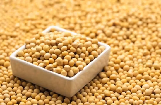 Soy Peptide Collagen Powder Small Molecule Hydrolyzed Vegetable Protein for Healthcare Supplement