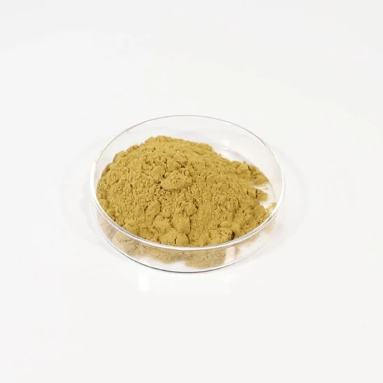 Plant Extract Animal Feed Polyphenols Echinacea Purpurea Extract with Polyphenols 4% UV