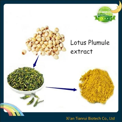 Factory Supply 100% Pure Natural Lotus Seed Extract Powder