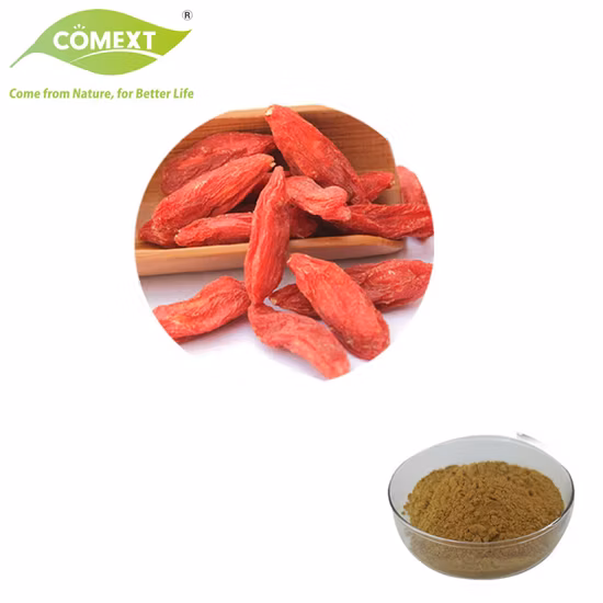 Natural Plant Extract Goji Extract