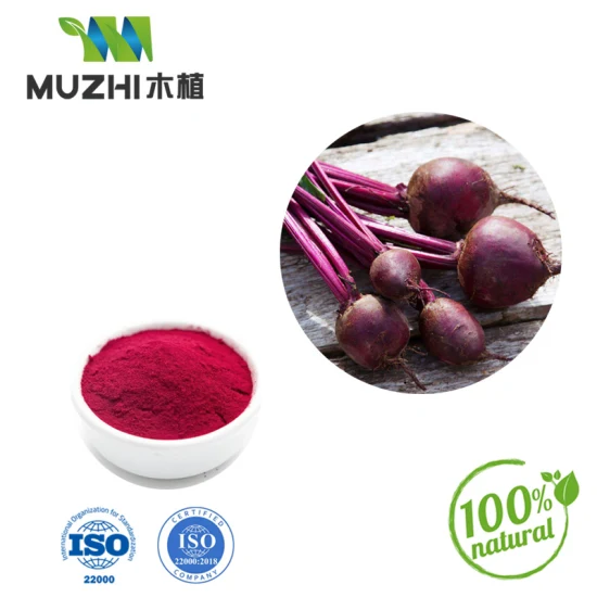 Beet Root Powder Natural Herbal Plant Extract