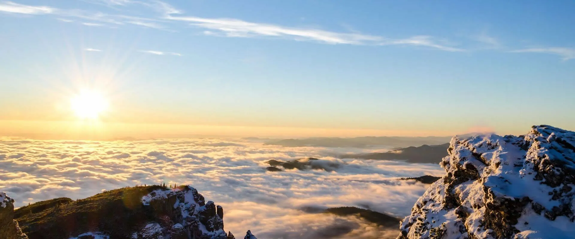 We strive to stay current with industry trends to ensure that our techniques meet your needs.