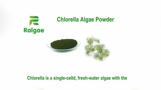 Factory Hot Selling Wholesale Bulk Nutritional Supplements Health Foods Spirulina and Chlorella Nutritional Supplements